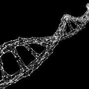 Genetics Subdivision